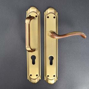 3733 AX C Puerta de Entrada